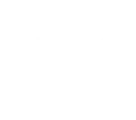 Home 34 UFC