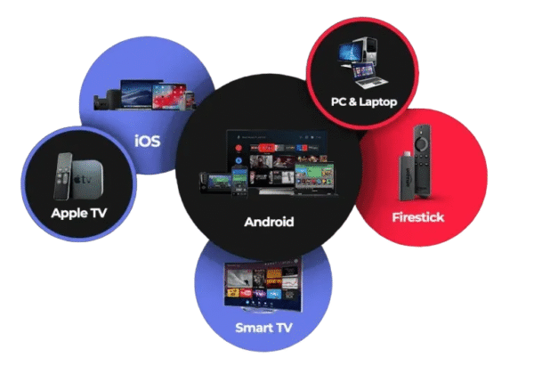 12 Month IPTV Subscription – 1 Connection (HD & 4K Streaming, Annual Plan)